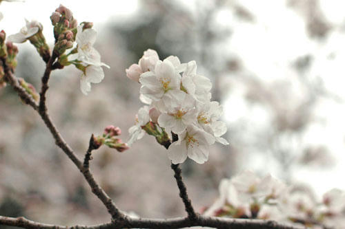 20130320_16.jpg