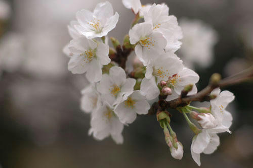 20130320_17.jpg