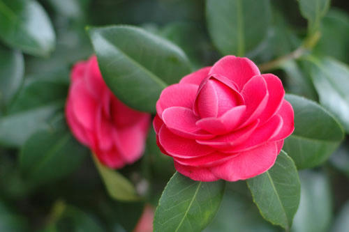20130320_18.jpg
