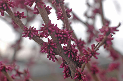 20130320_19.jpg