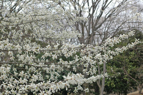 20130320_21.jpg