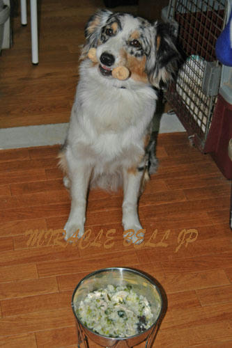 20130324_4.jpg