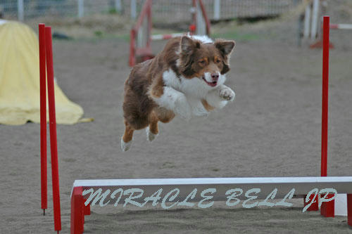 20130324_1.jpg