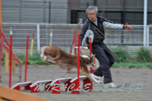 20130324_2.jpg