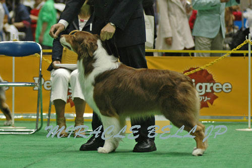 20130406_1.jpg