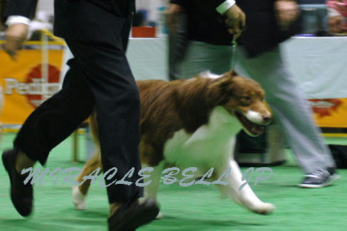 20130406_2.jpg