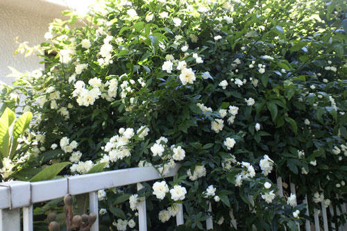 20130427_1.jpg