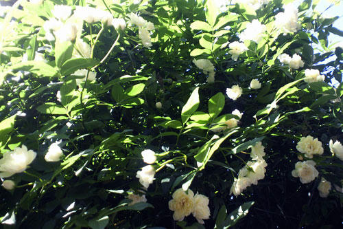 20130427_2.jpg