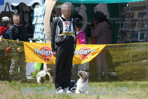 20130428_8.jpg