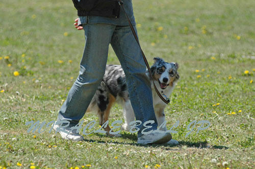 20130503_2.jpg