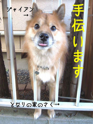 おとなりの犬のジャイアン