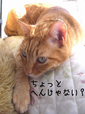 すねてるサンジ