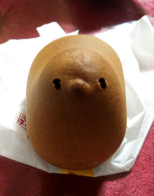 見つめるひよこ