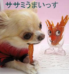 sasami.JPG
