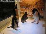 PC040293PPP.JPG