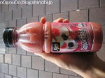 PC040309PPP.JPG