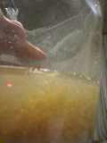 20080204213542.jpg