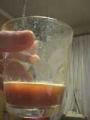 20080204214158s.jpg