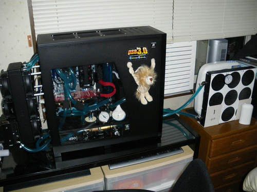 57024bbe.JPG