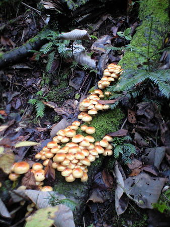 CA3A0108.JPG