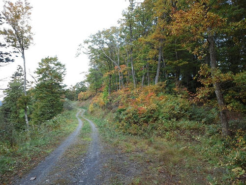 CA3J0136.JPG