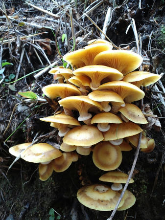 CA3J0149.JPG