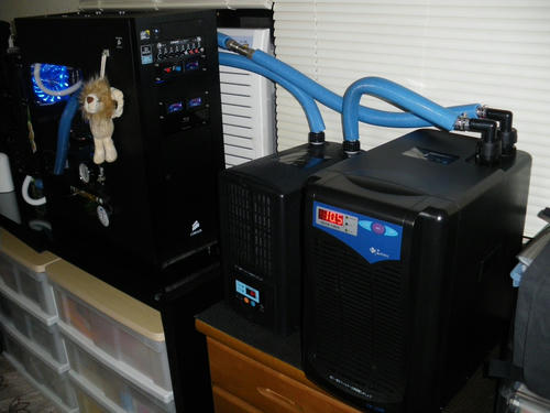 e644801f.JPG