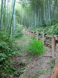 s070804146.jpg