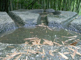 s070804158.jpg
