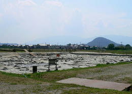 sP1230384.jpg
