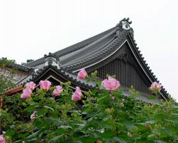 sP1250002.jpg