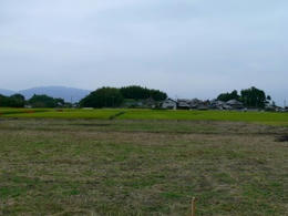 sP1240900.jpg