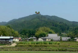 miya-11.jpg