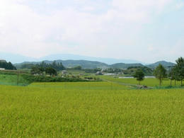 s070923064.jpg