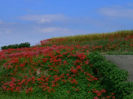 sP1250248.jpg