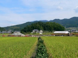 sP1250189-1.jpg