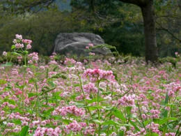 sP1250398.jpg