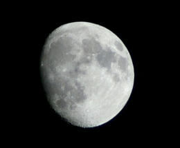 sP1250486.jpg