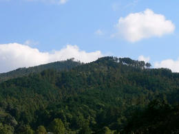 sP1250503.jpg