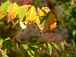 sP1250510.jpg