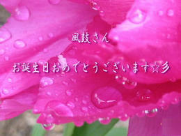 2007.12.13..jpg