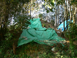 s071125048.jpg