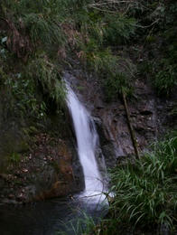 sP1020087.jpg