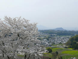 sP1030498.jpg