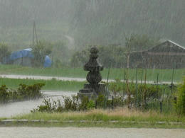 sP1050631.jpg