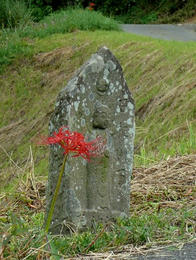 sP1060844.jpg
