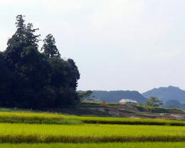 sP1070030.jpg