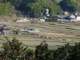 sP1090338.jpg
