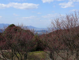 sP1090837.jpg