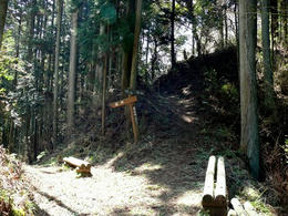 sP1100714.jpg